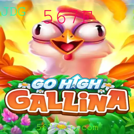 GoHighGallina: Descubra o Novo Jogo Emocionante